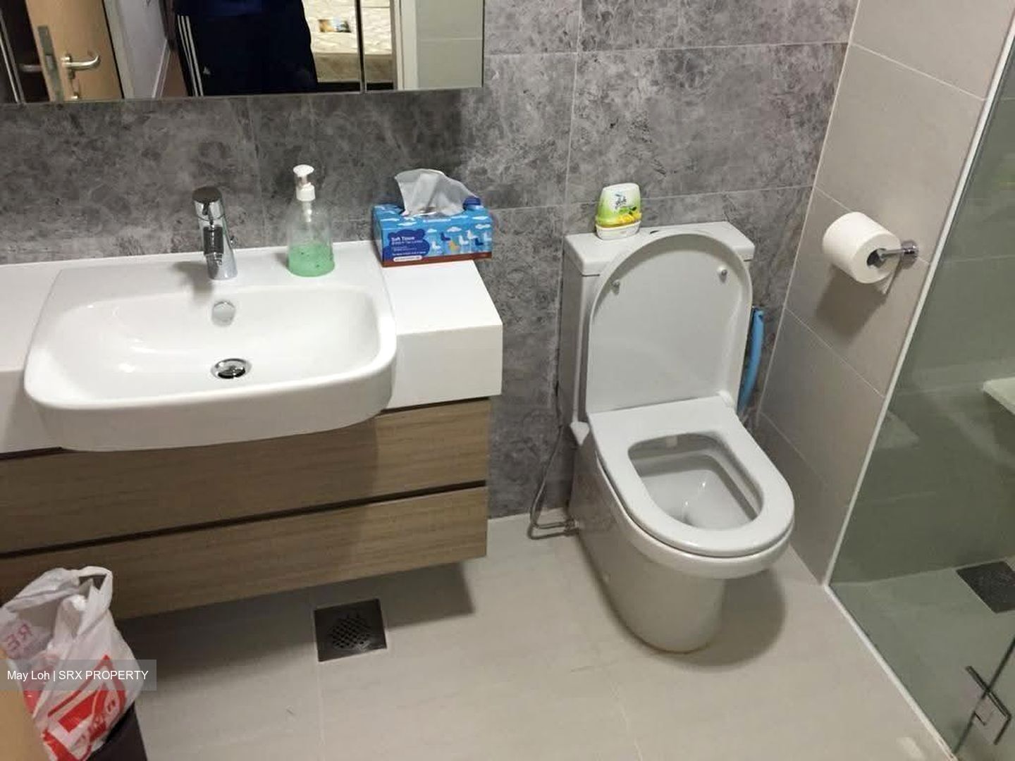 The Lakefront Residences (D22), Condominium #619944351